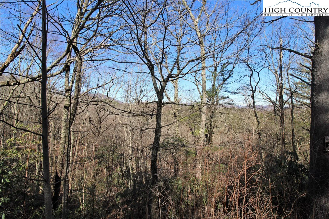 Image number 1 for the current listing
