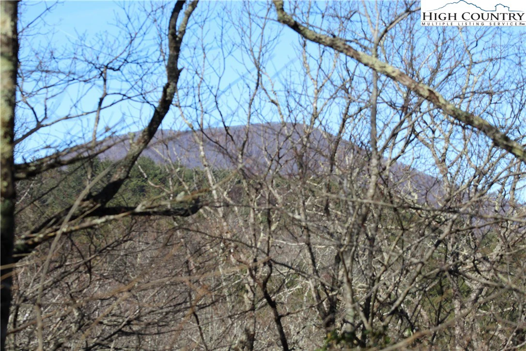 Image number 16 for the current listing