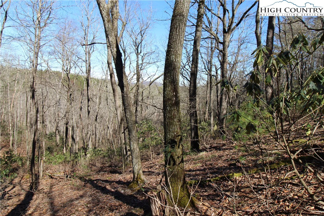 Image number 14 for the current listing