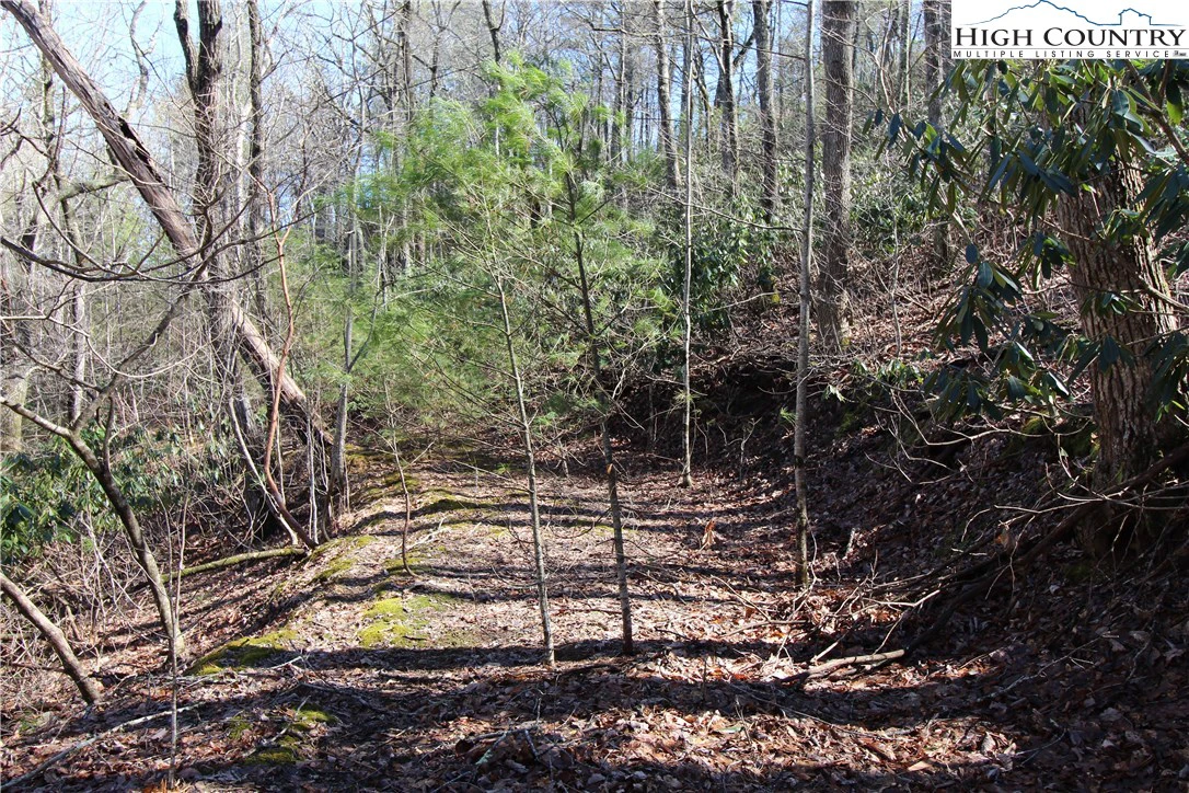 Image number 13 for the current listing