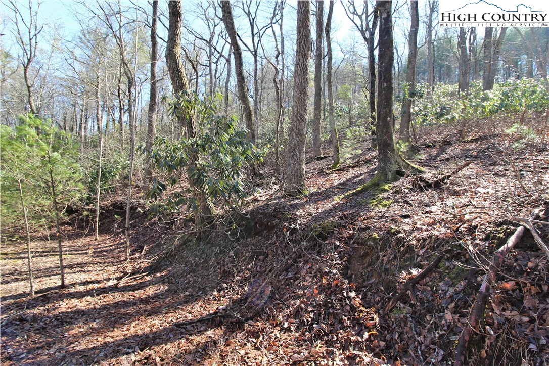 Image number 12 for the current listing