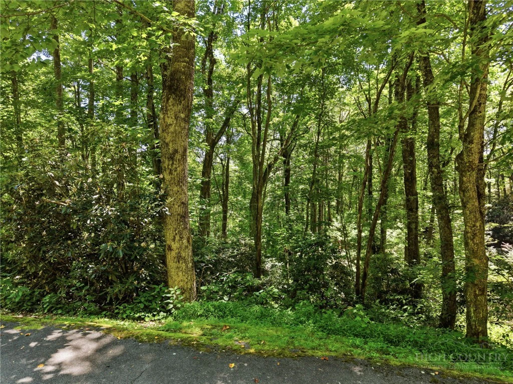 Image number 2 for the current listing