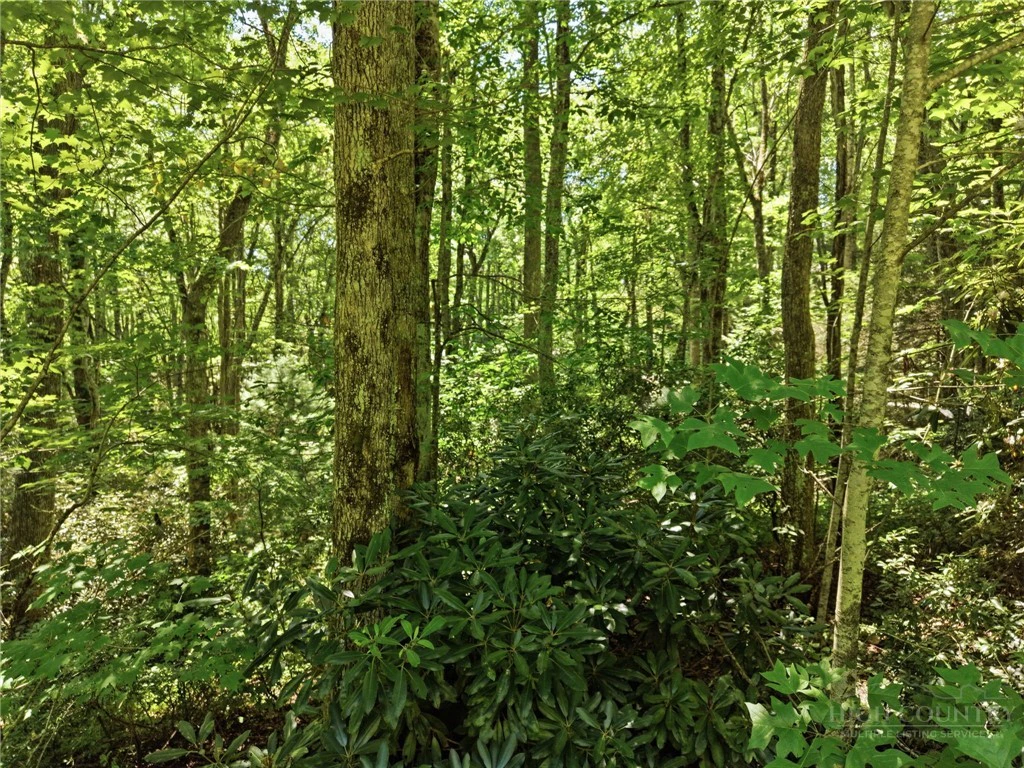 Image number 3 for the current listing