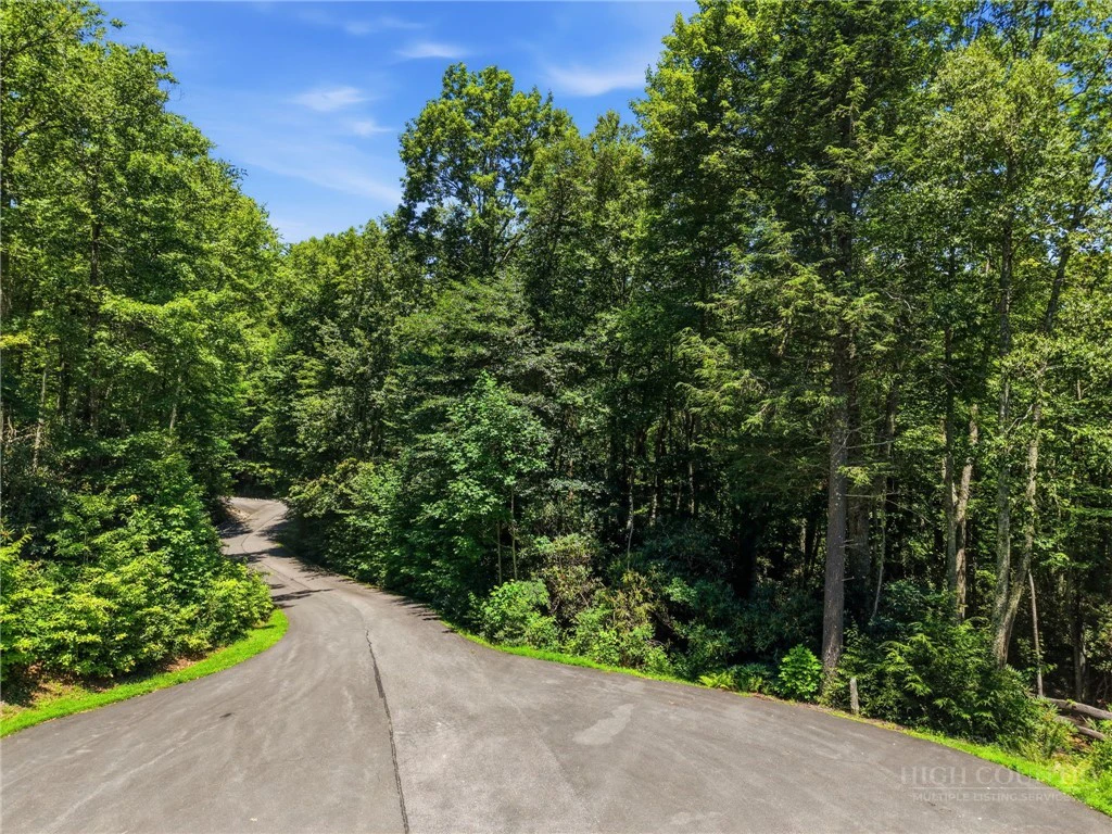 Image number 8 for the current listing