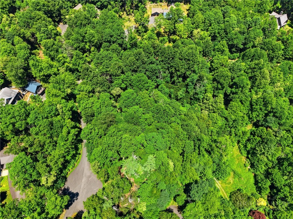 Image number 9 for the current listing