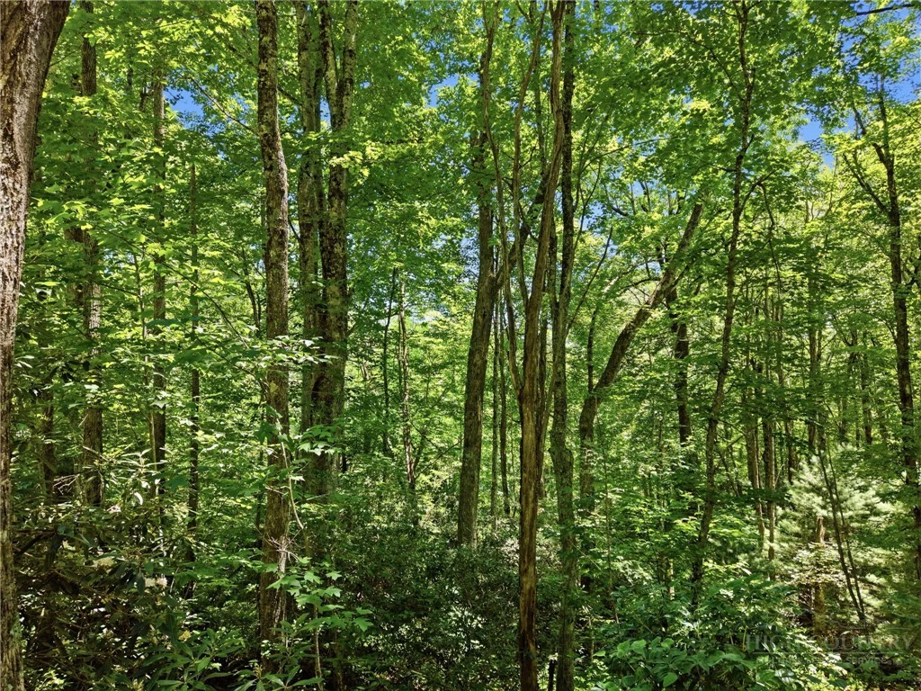 Image number 11 for the current listing