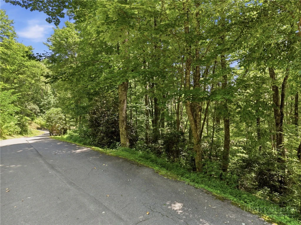 Image number 12 for the current listing