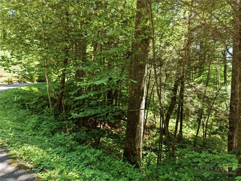 Image number 13 for the current listing
