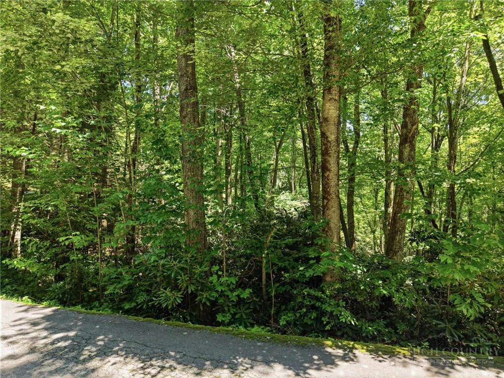 Image number 15 for the current listing