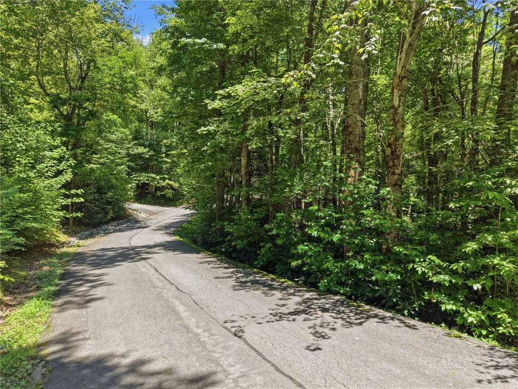 Image number 16 for the current listing