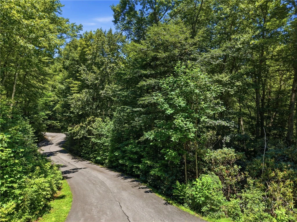 Image number 17 for the current listing