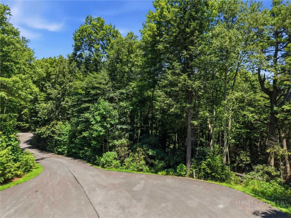 Image number 18 for the current listing