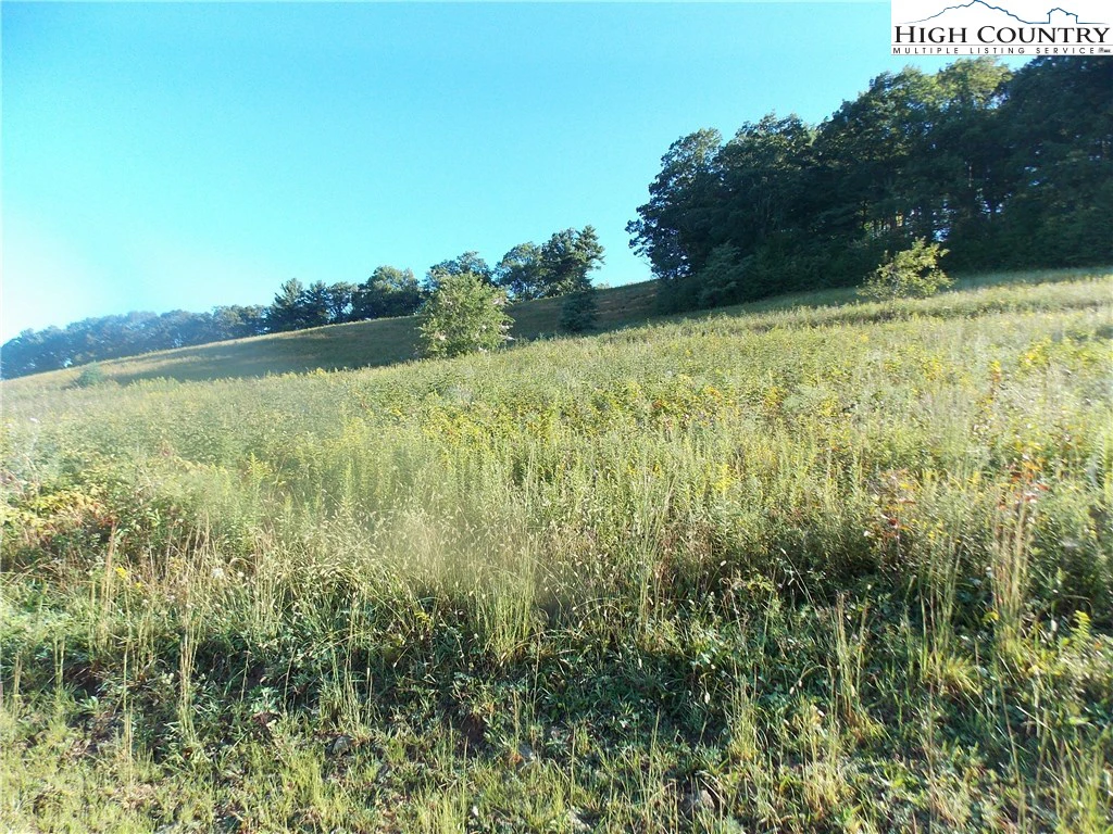 Image number 1 for the current listing