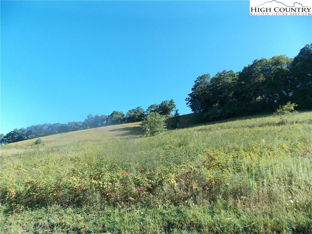 Image number 3 for the current listing