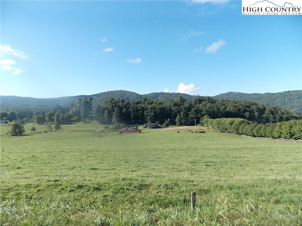 Image number 7 for the current listing