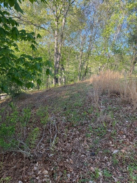 Image number 3 for the current listing