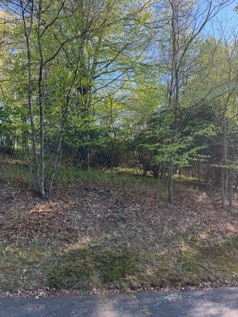 Image number 6 for the current listing