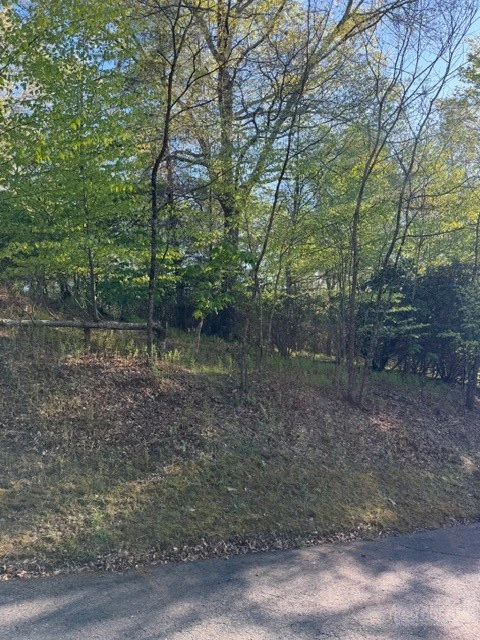 Image number 7 for the current listing