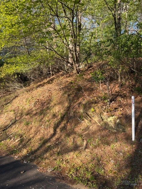 Image number 10 for the current listing