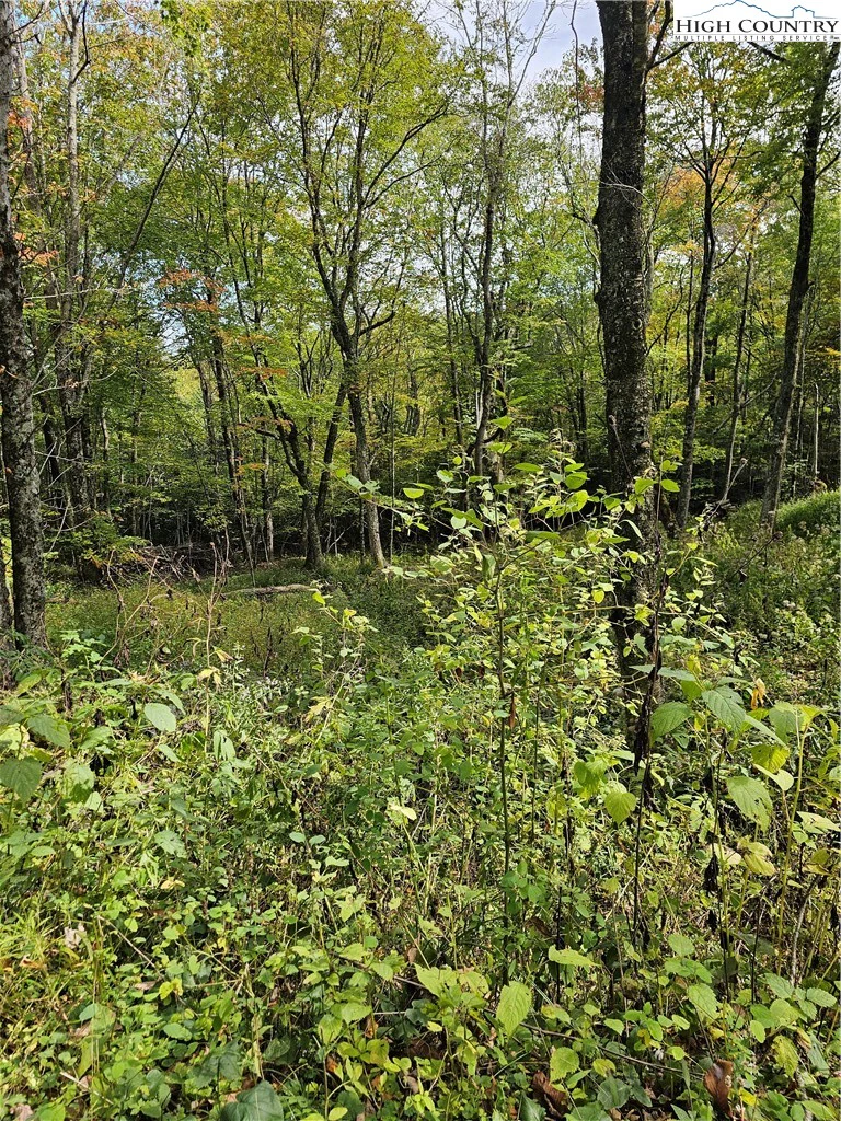 Image number 6 for the current listing