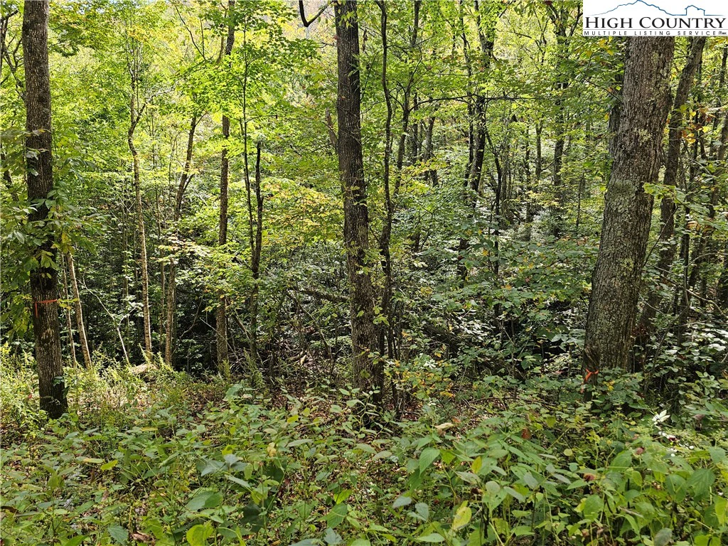 Image number 7 for the current listing