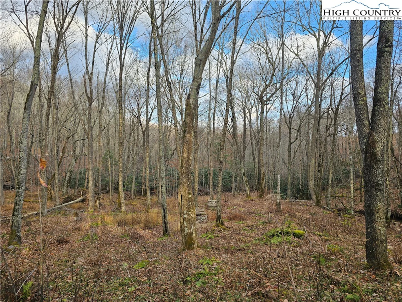 Image number 10 for the current listing