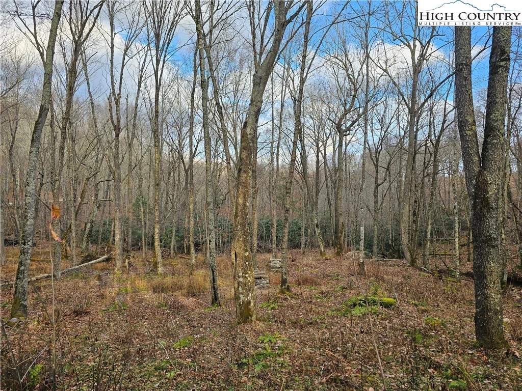 Image number 10 for the current listing