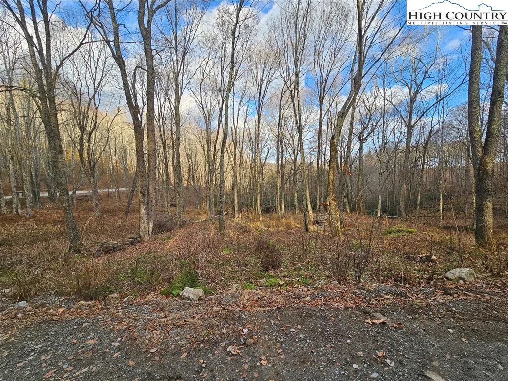 Image number 11 for the current listing
