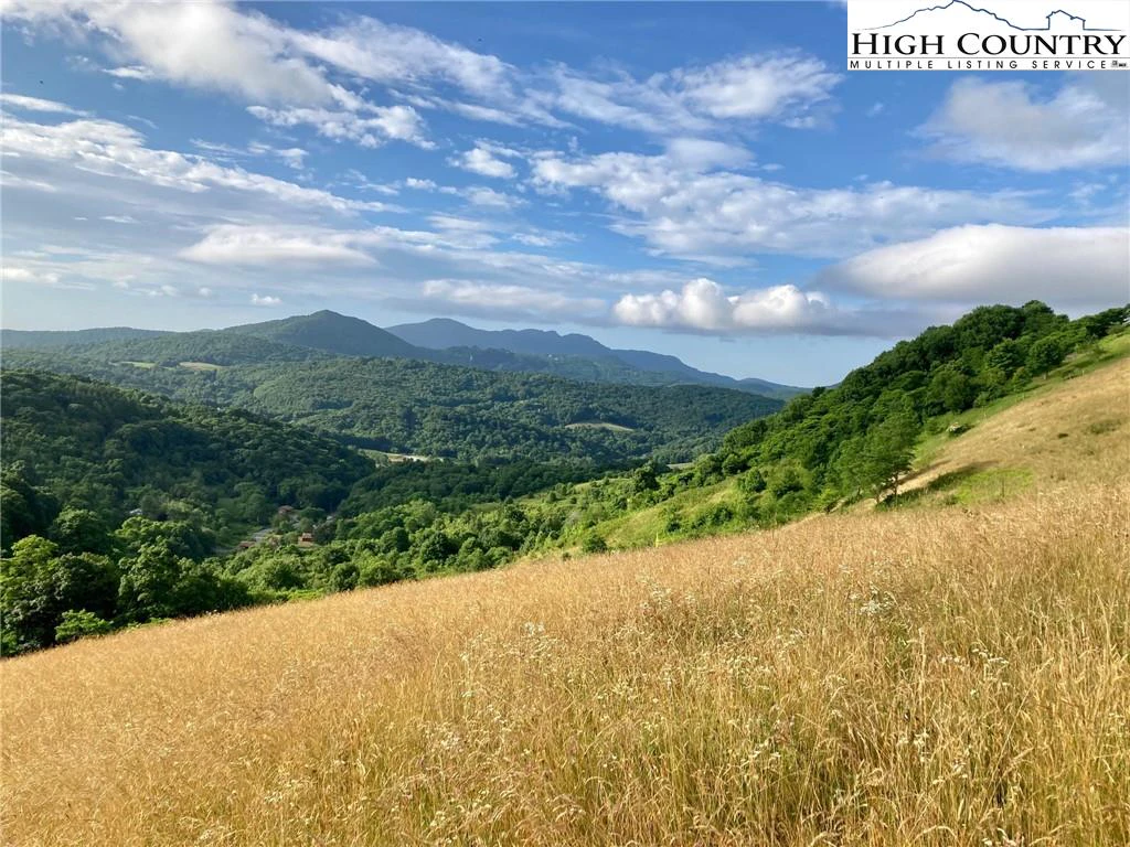Image number 1 for the current listing