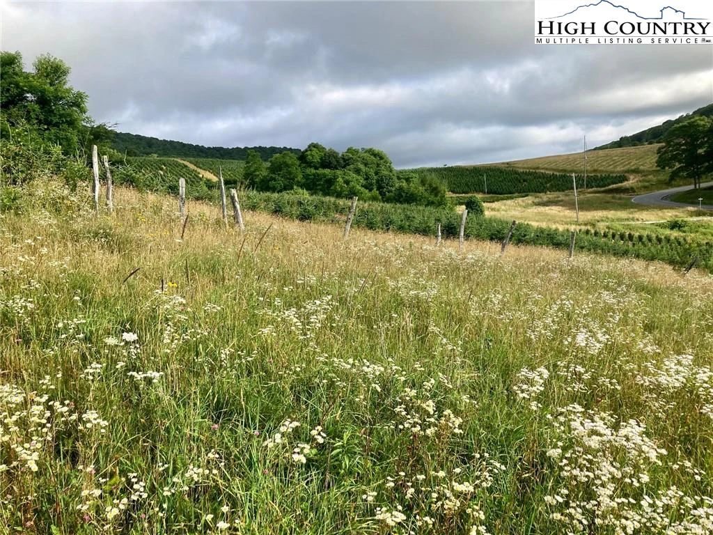 Image number 9 for the current listing