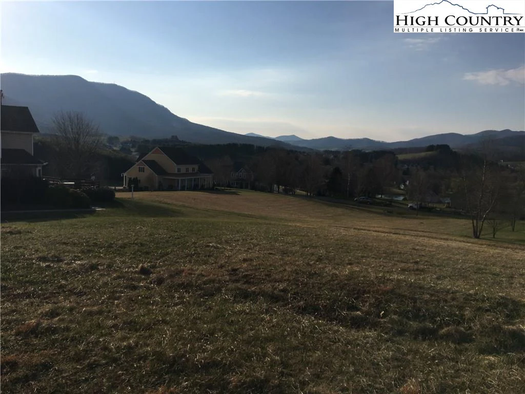 Image number 1 for the current listing