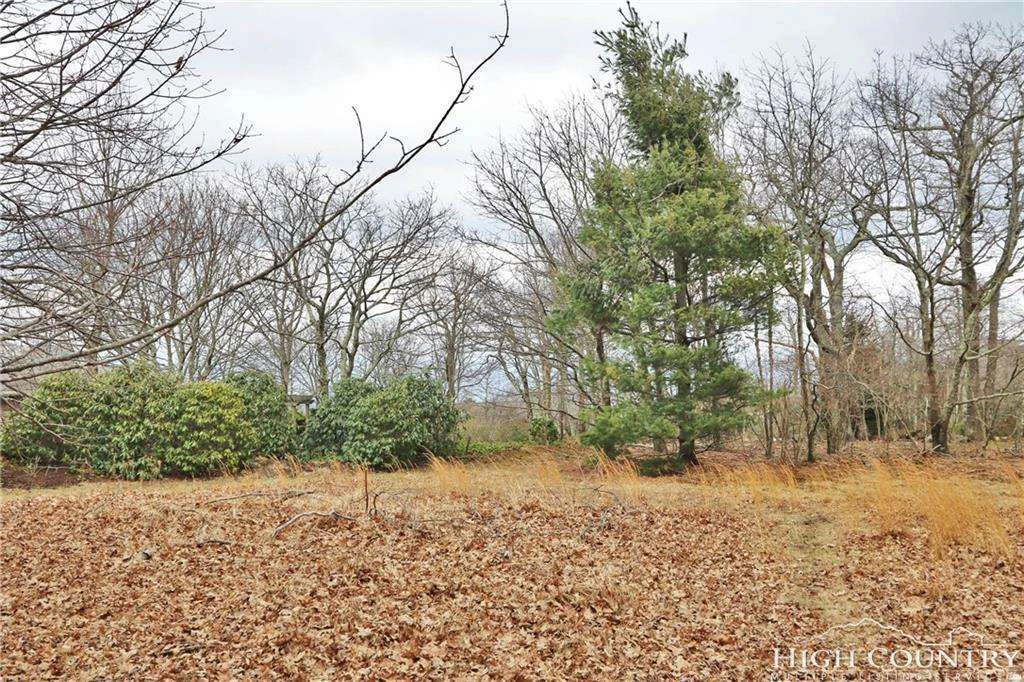 Image number 1 for the current listing