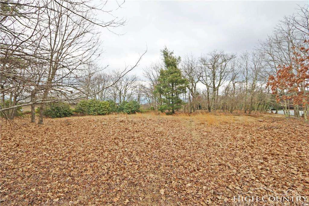 Image number 3 for the current listing