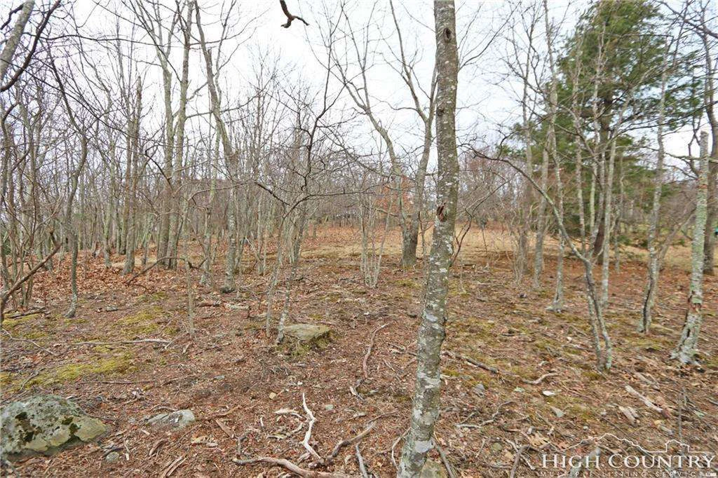 Image number 6 for the current listing