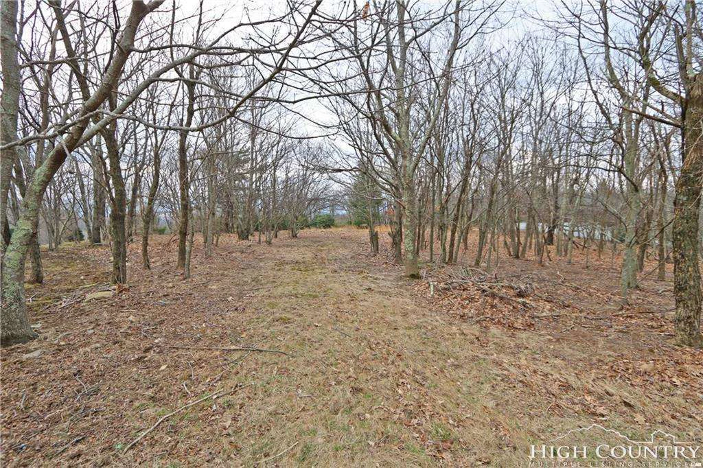 Image number 7 for the current listing