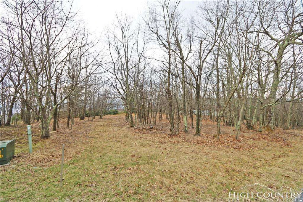 Image number 9 for the current listing