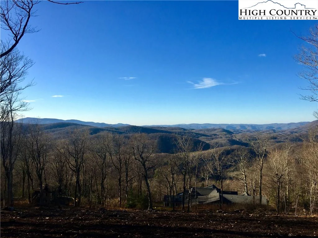 Image number 1 for the current listing