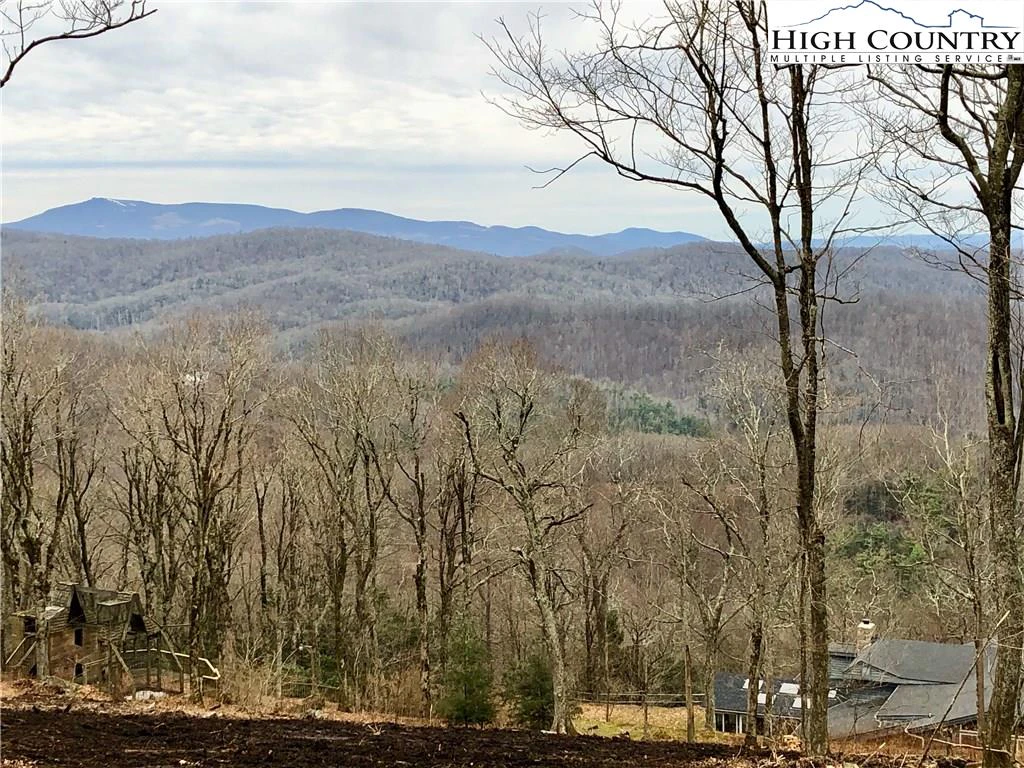 Image number 4 for the current listing