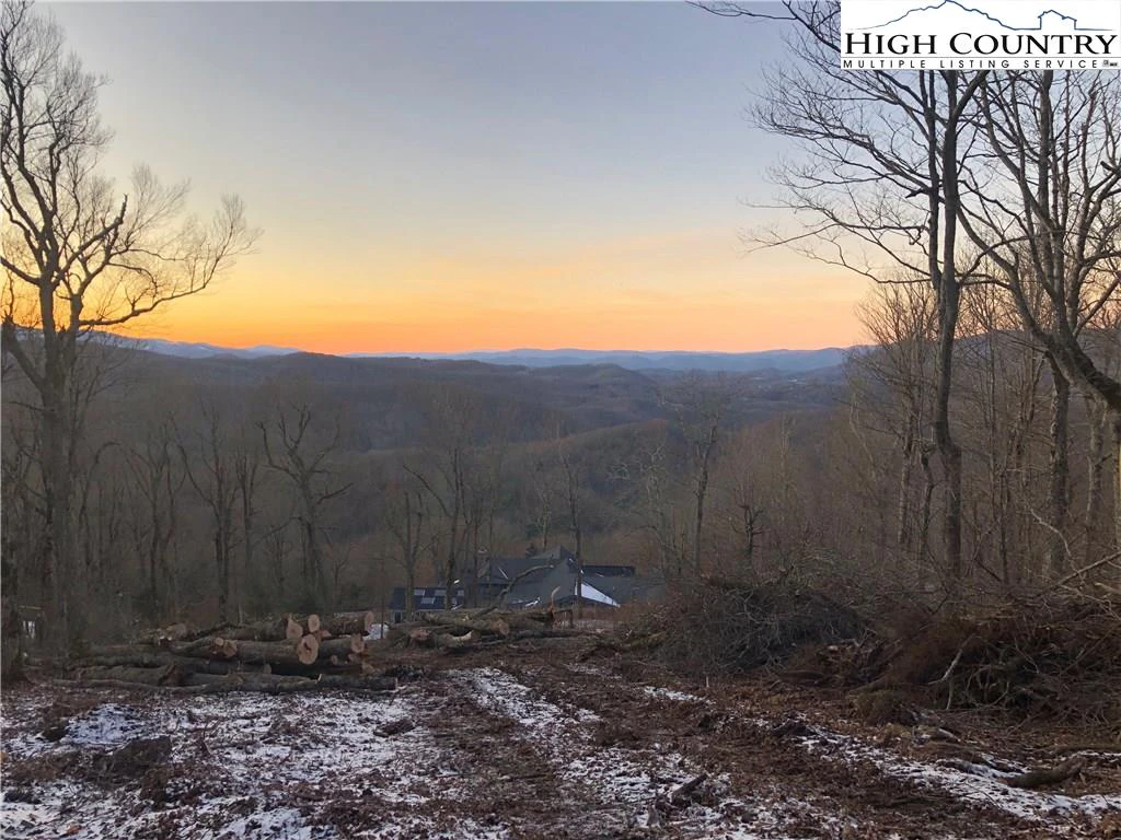Image number 5 for the current listing