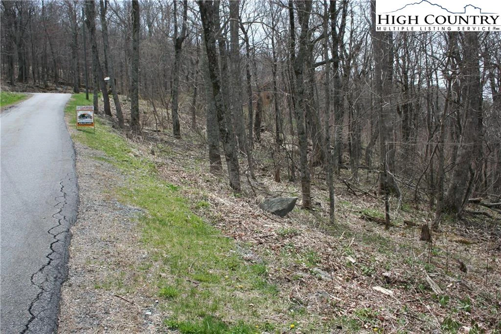 Image number 10 for the current listing