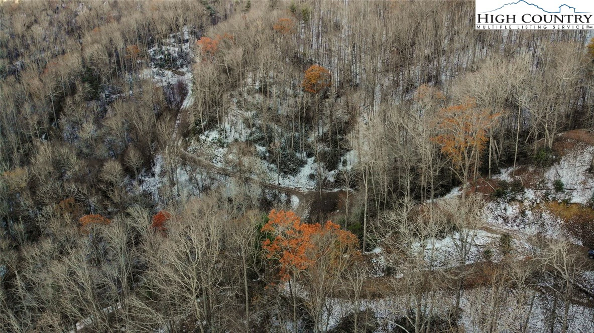 Image number 1 for the current listing