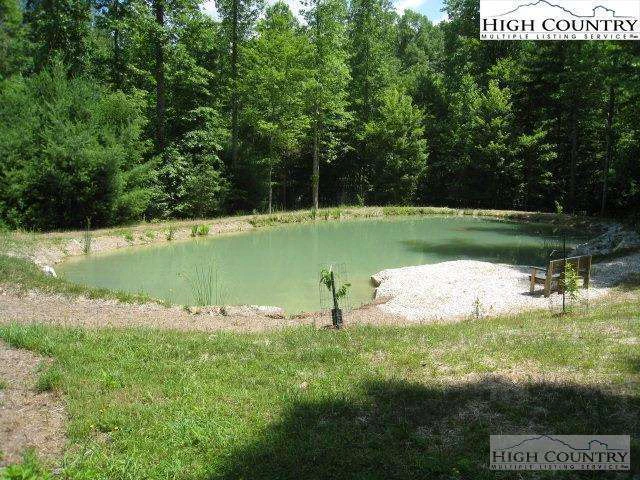 Image number 4 for the current listing