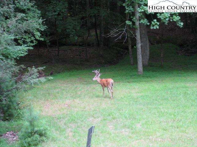 Image number 8 for the current listing