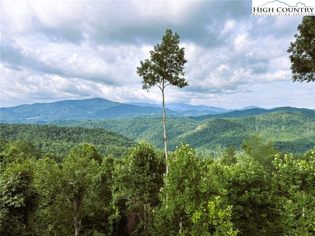 Image number 1 for the current listing