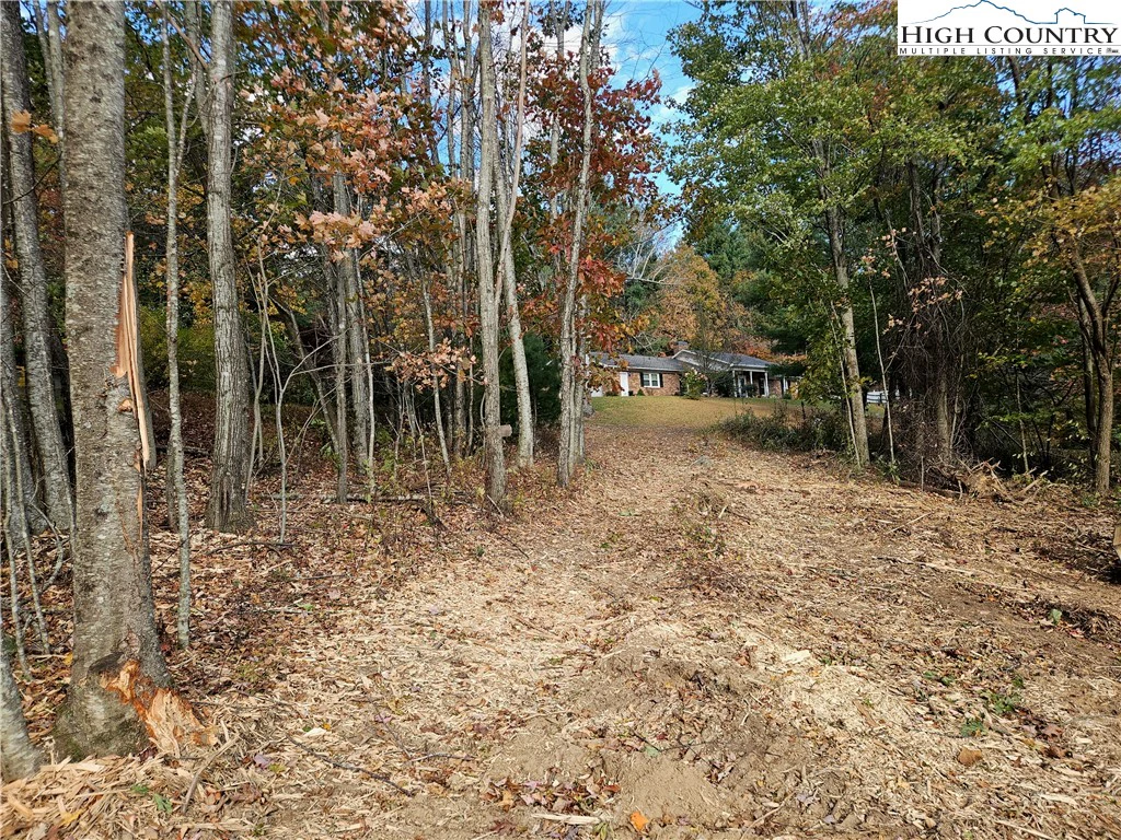 Image number 1 for the current listing
