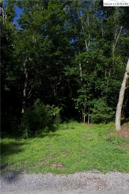 Image number 10 for the current listing