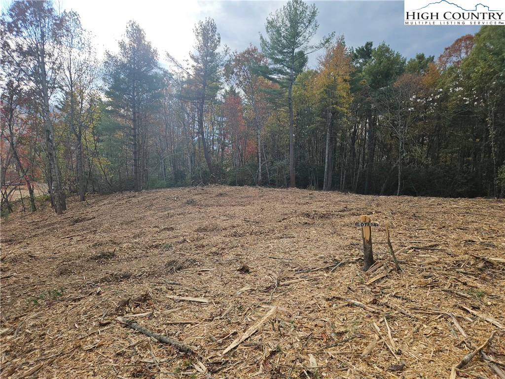 Image number 5 for the current listing