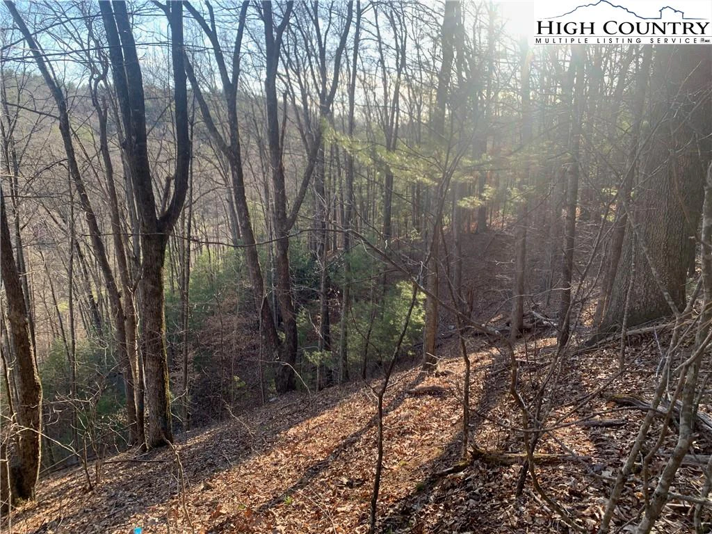 Image number 13 for the current listing