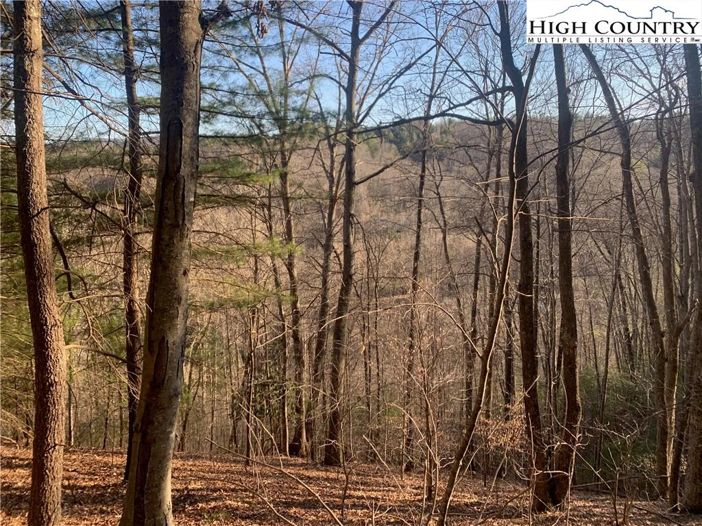 Image number 3 for the current listing