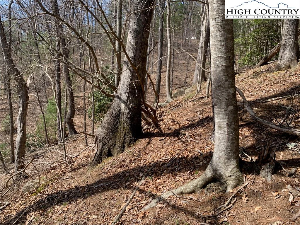 Image number 11 for the current listing